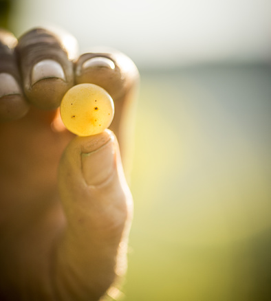 Fearfully and Wonderfully&nbsp;Made