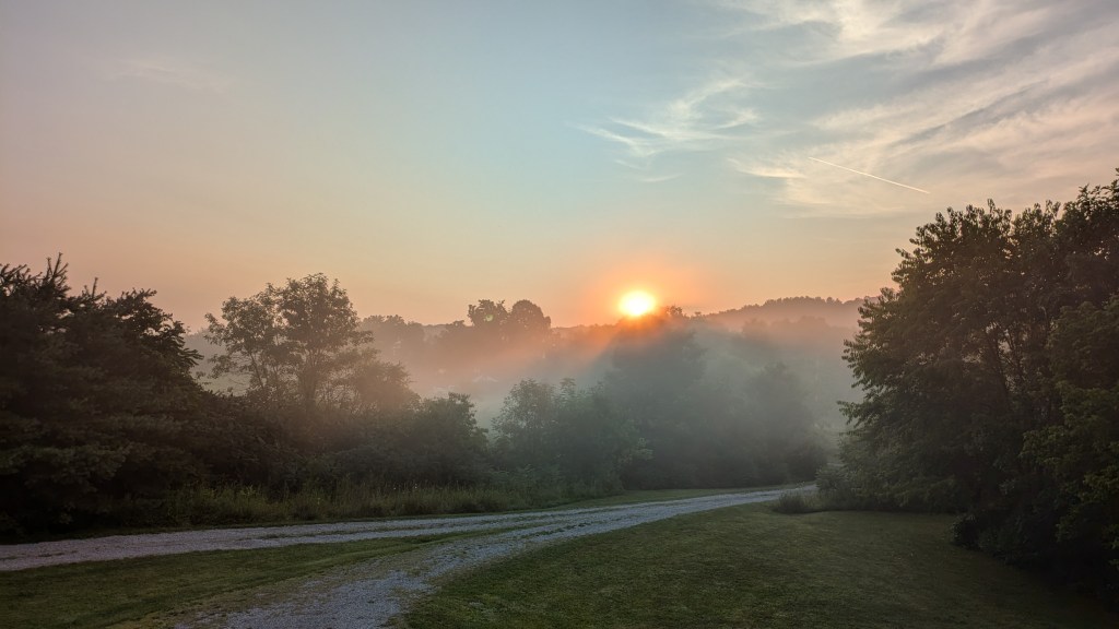 Weekend Photo Roundup