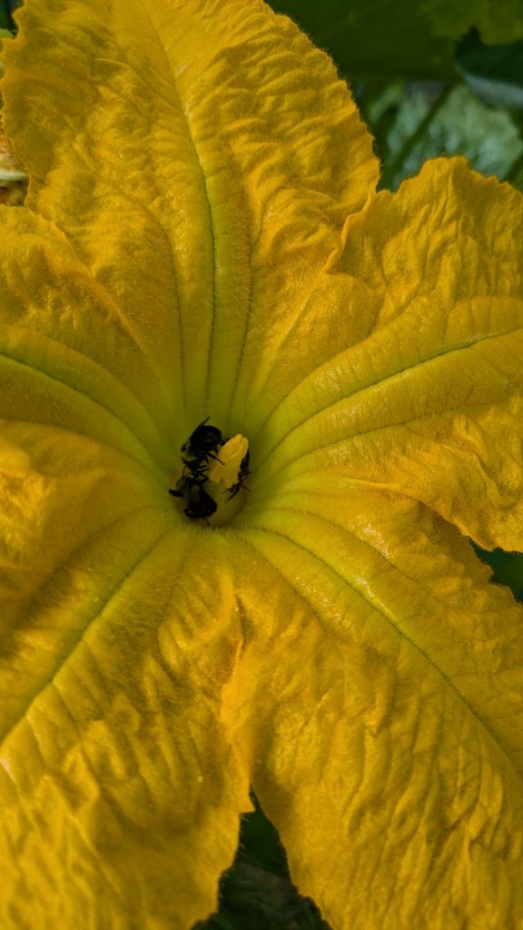 pxl_20240726_1159322925464102219533782687