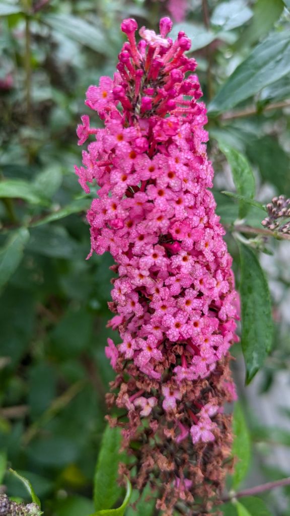 pxl_20240726_1159499056753905787058472911