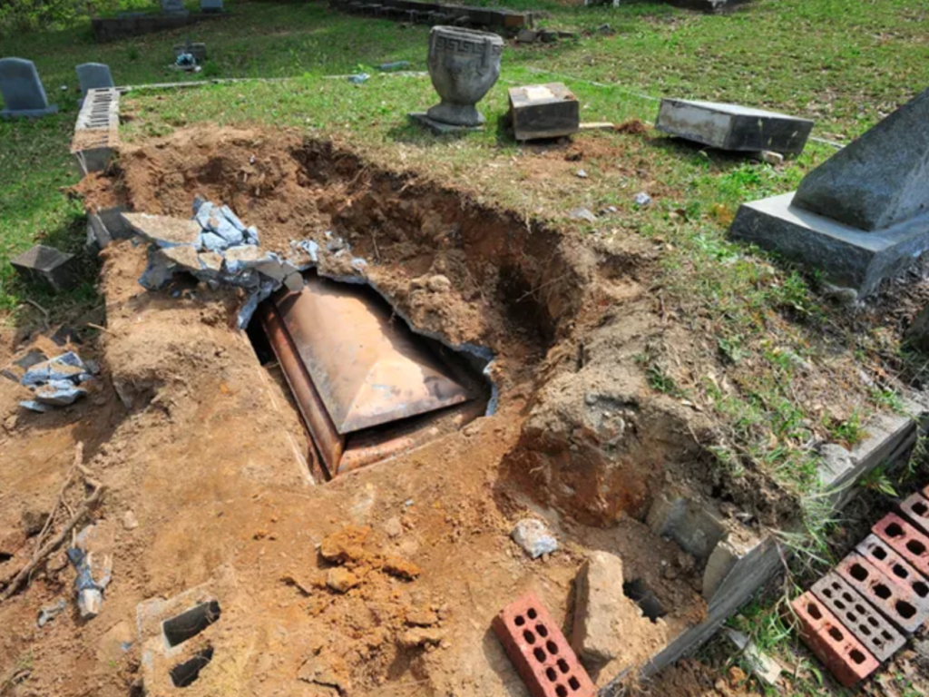 The Greenspace: cAAMp&nbsp;237