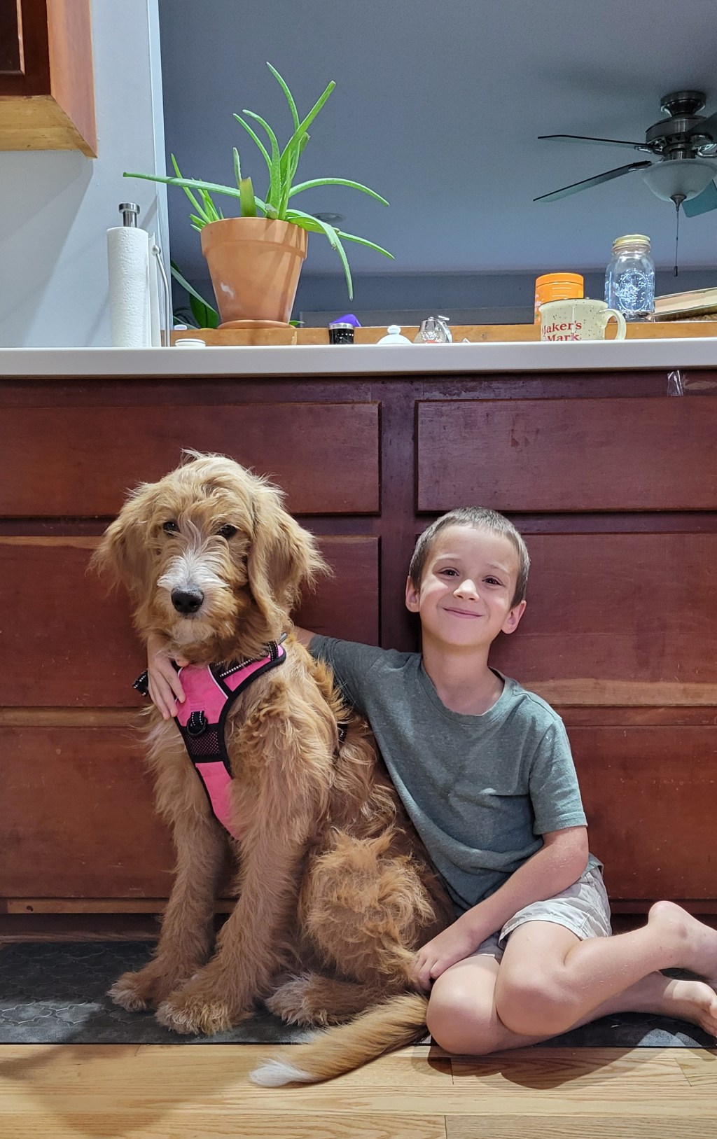 Did Jesus Have a Puppy – A&nbsp;Poem